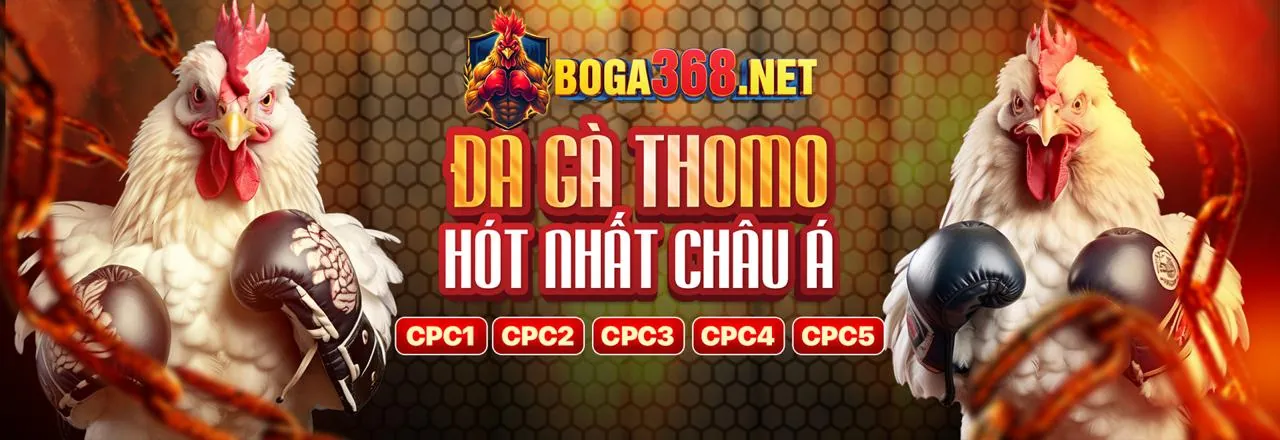 Đá gà trực tuyến VB79 với các trận đấu sôi động