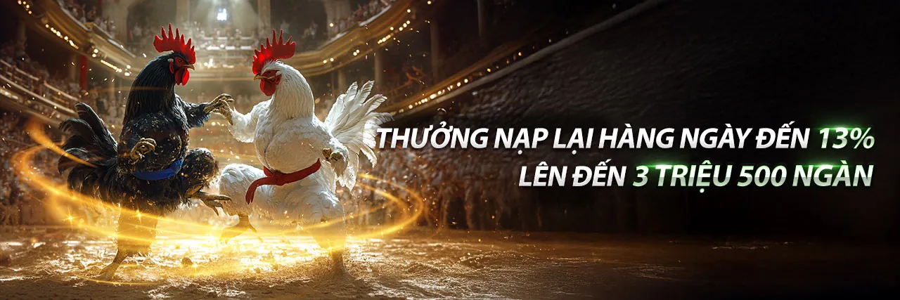 Đá gà trực tiếp kịch tính tại VB79 Link Vào 2026