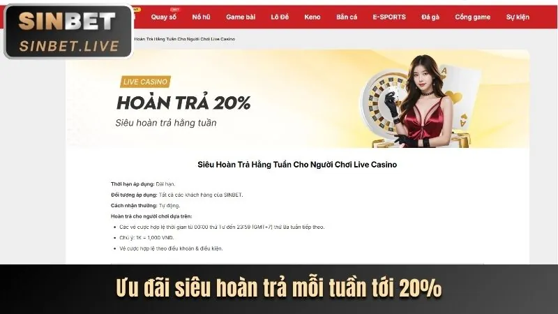 Theo Dõi & Cập Nhật Khuyến Mãi vb79